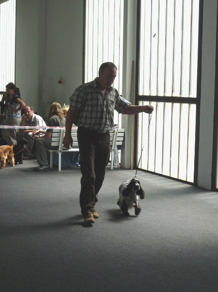 Litomerice 2009 047.jpg